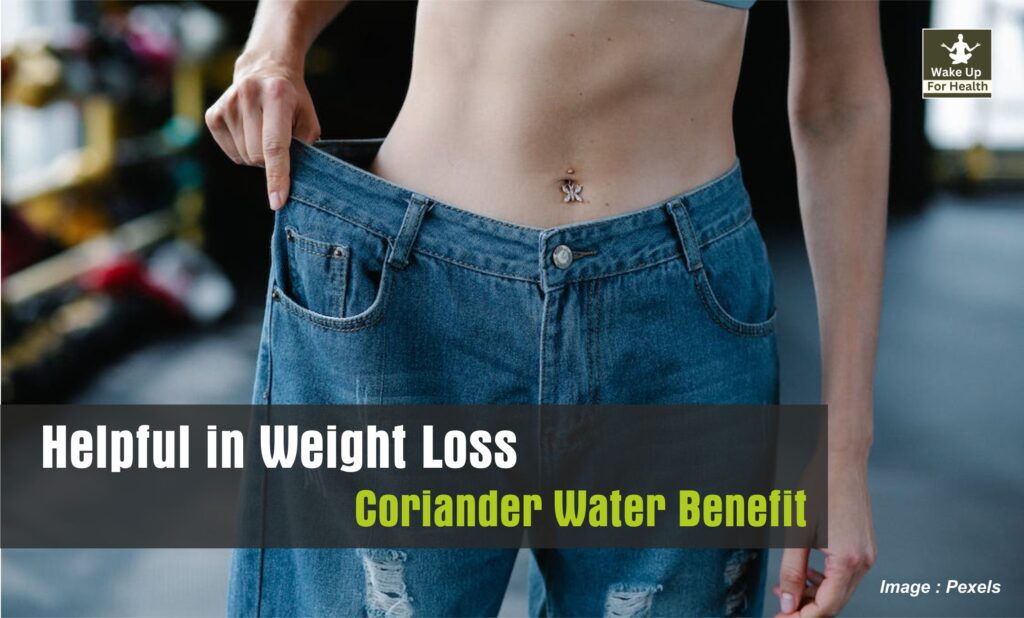 Coriander Water Helpful in Weight Losing