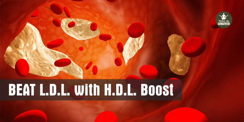 How To Boost Good Cholesterol: 5 Things Eat Daily | Increase Good Cholesterol By Cleaning Dirty Blood- wakeupforhealth.com