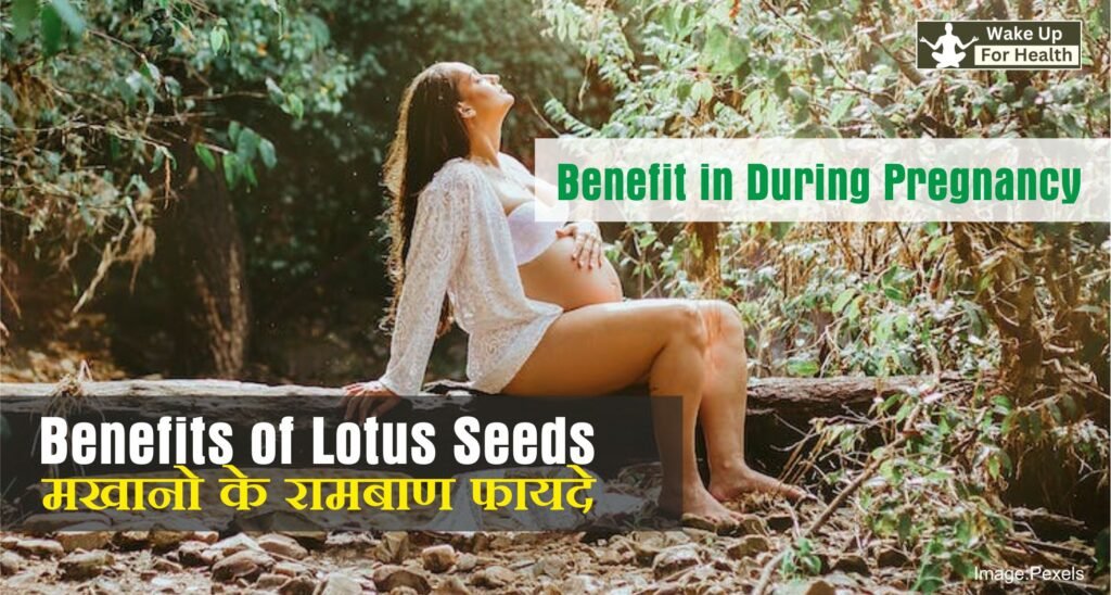 Lotus Seeds: Benefits For Health 5 Lotus Seed Benefit in During Pregnancy