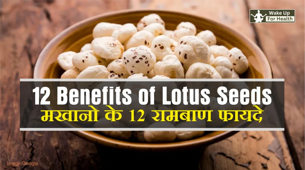 Makhana Benefits, Medicinal Uses And Its Side Effects