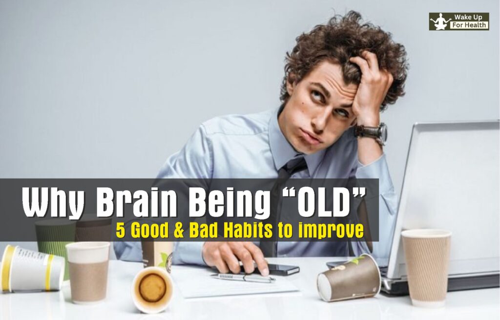 Brain Aging