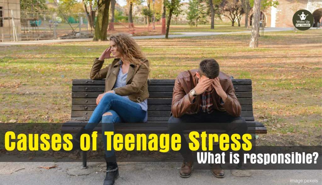 Teenage Stress | Causes of Teenage Stress | How Parenting of Parents Reduce Teenage Pressure 2 Teenage Stress | Causes of Teenage Stress | How Parenting of Parents Reduce Teenage Pressure