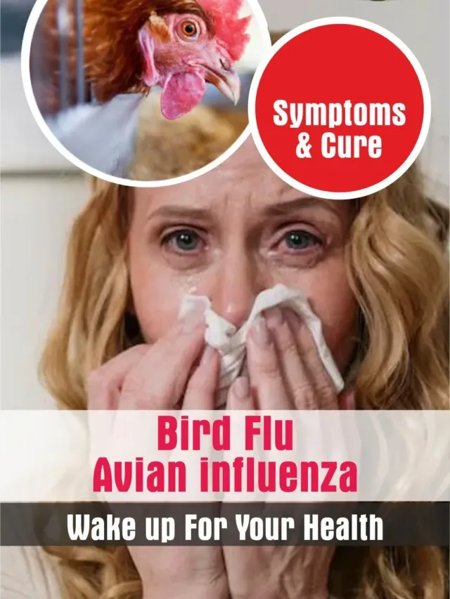 Avian Influenza – Bird Flu Symptoms Skagit Bay