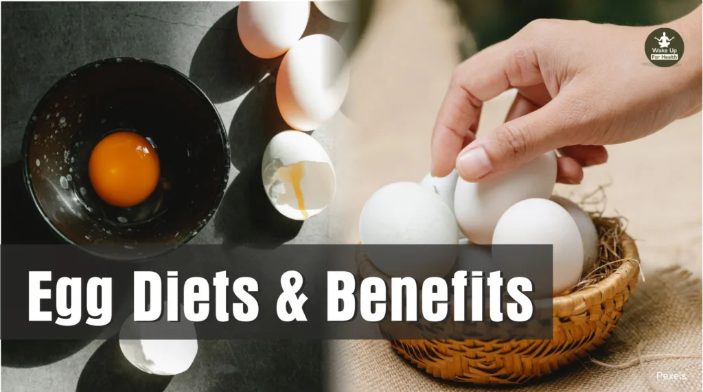 egg diets and benefits