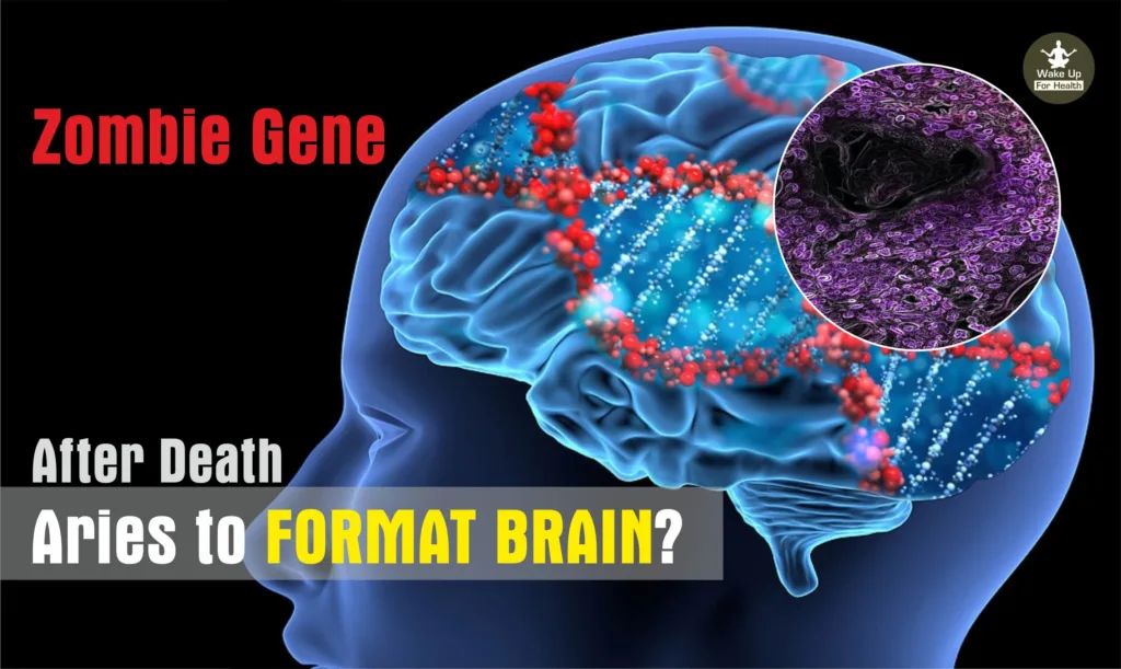 How Zombie Gene Becomes Active After Our Death? | Why Zombie Effect Dead Person?