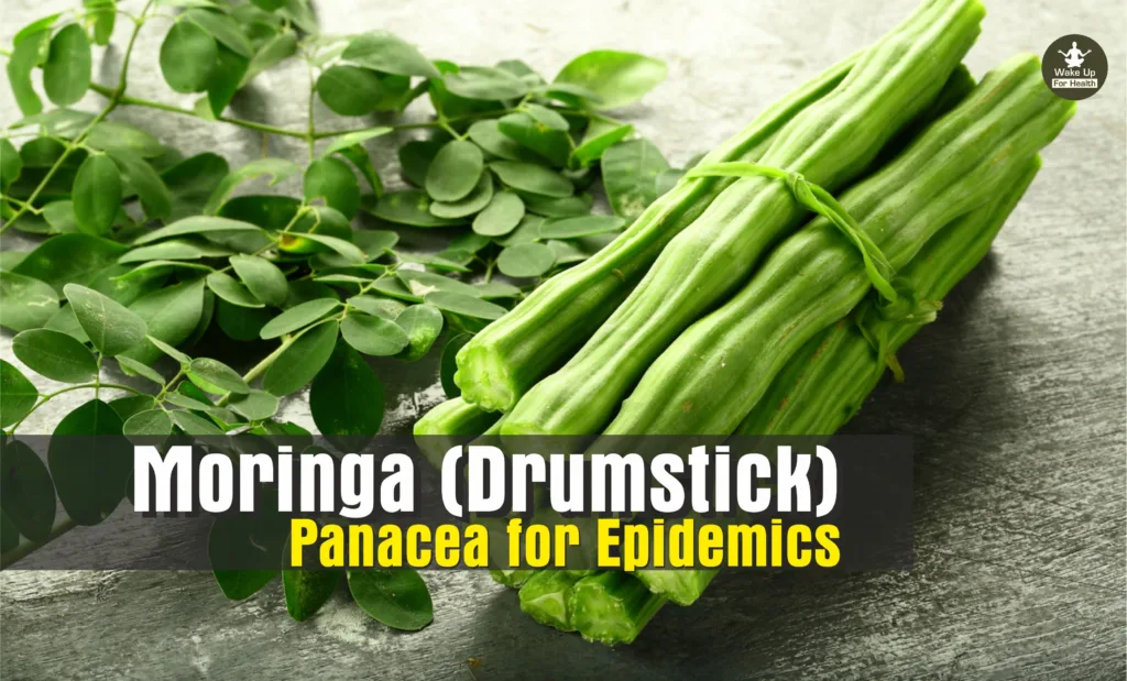 moringa corona benefits