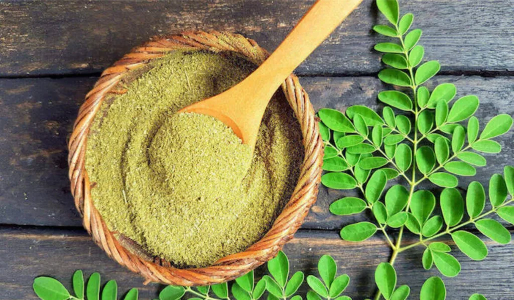 Moringa Powder for corona pendemic