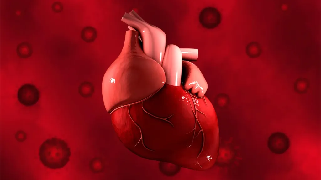 Heart Inflammation: Types, Causes, Symptoms and Treatments