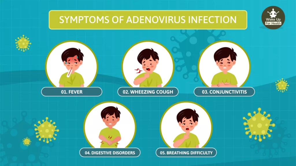 Adenovirus,adenovirus 5,adenovirus infection,adenovirus astrazeneca,adenoviridae,define adenovirus,adenovirus in adults,adenovirus treatment,adenovirus causes,adenovirus meaning,human adenovirus,adenovirus disease,adenovirus chimpanzee,adenovirus type 5,adenovirus causes which disease,adenovirus contagious,adenovirus eye,canine adenovirus type 2,adenovirus type 2,Adenovector,adenovirus examples,adenovirus slideshare,astra zeneca adenovirus,adenovirus types,adenovirus eye infection,adenovirus common cold,pharyngoconjunctival,simian adenovirus,adenovirus contagion,adenovirus simptome,avian adenovirus,