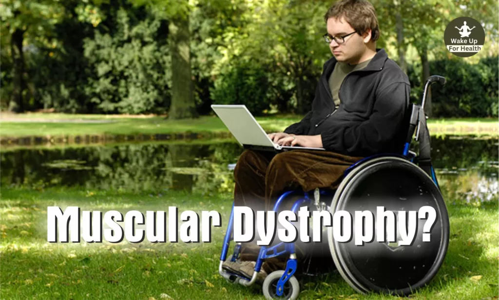 Muscle dystrophy or Muscular dystrophy